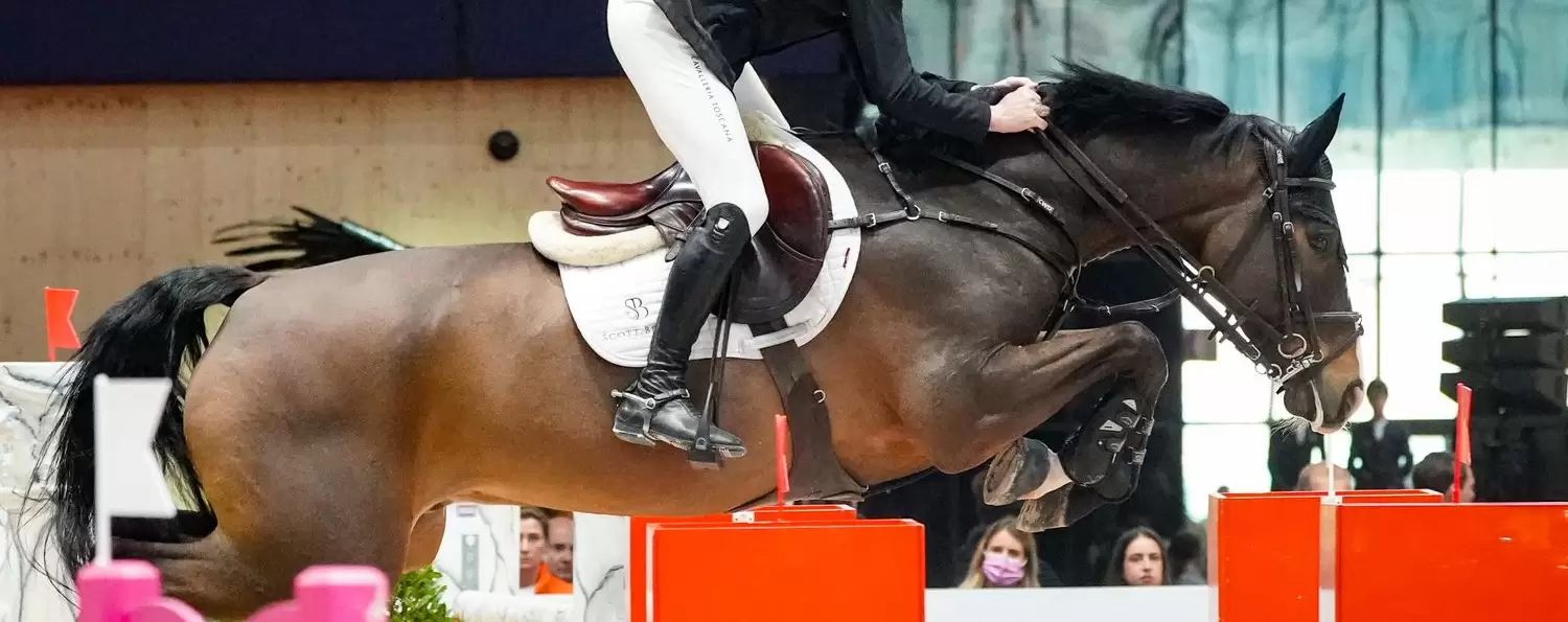 découvrez l'importance des protéines pour la santé et la performance des chevaux. optimisez leur alimentation pour un bien-être et une endurance maximale.