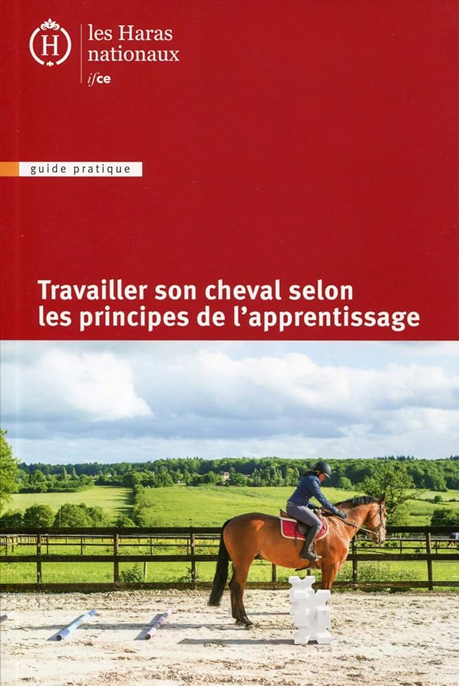 découvrez nos conseils pratiques pour réussir la saillie de votre cheval, spécialement conçus pour les débutants en élevage équin.
