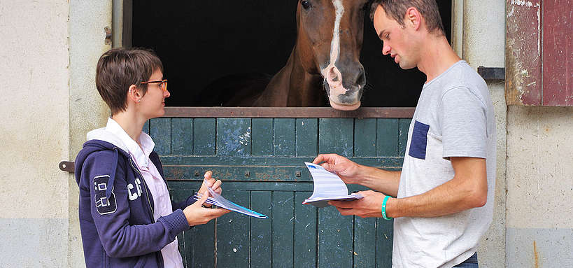 découvrez nos conseils pratiques pour réussir la saillie de votre cheval, spécialement conçus pour les débutants. assurez une reproduction optimale en toute confiance.