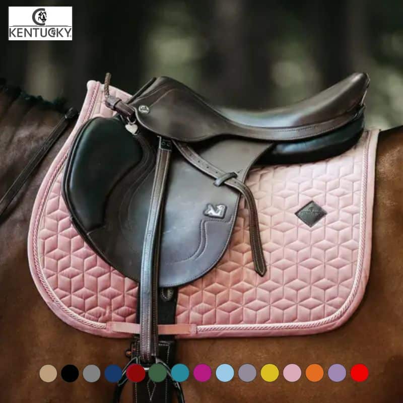 découvrez notre tapis cheval rose fushia, alliant confort et style pour sublimer votre cheval lors de toutes vos sorties.