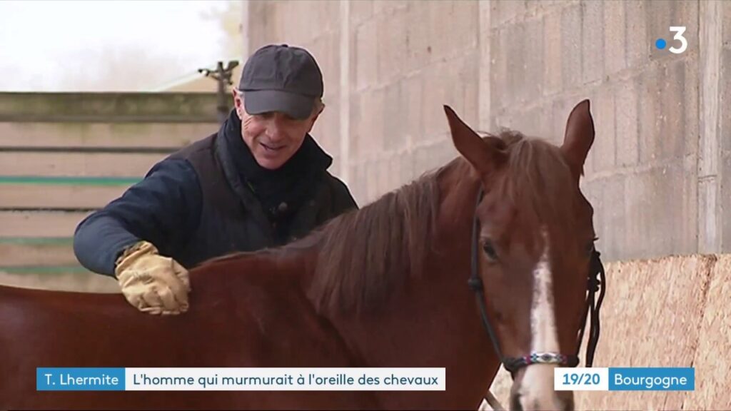 découvrez comment thierry lhermitte explore la profondeur humaine à travers sa relation unique avec les chevaux, révélant des émotions et des connexions authentiques.