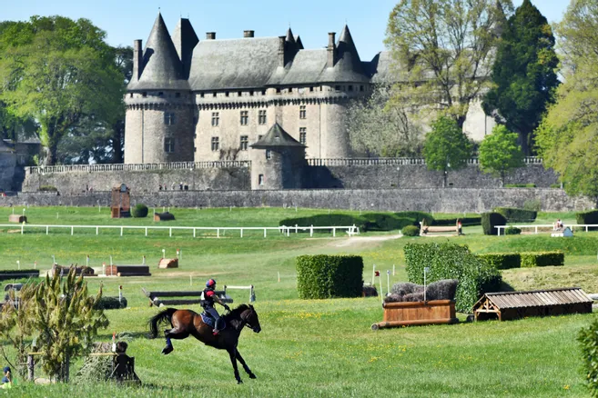 découvrez comment trouver le cheval idéal grâce aux conseils et services des haras nationaux. trouvez votre partenaire équin parfait dès aujourd'hui !