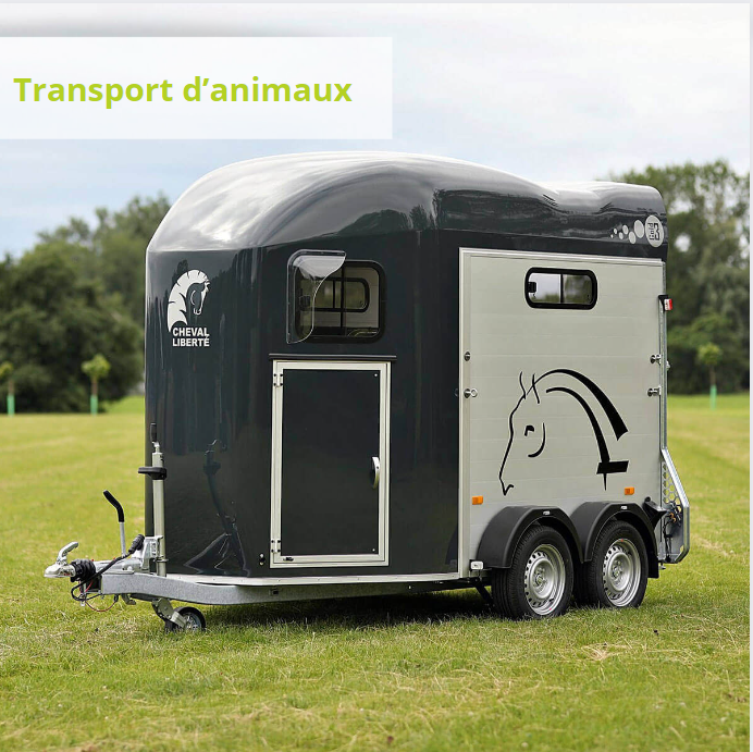 découvrez notre van 4 places spécialement conçu pour transporter vos chevaux en toute sécurité et confort. idéal pour les déplacements et compétitions équestres.