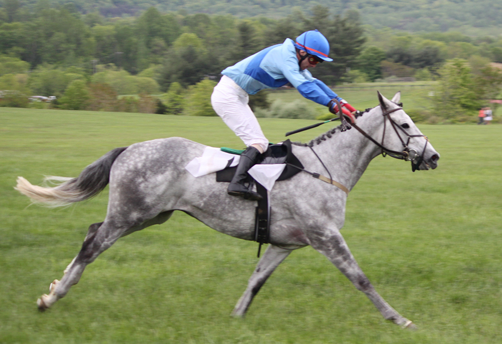 découvrez la vitesse moyenne d'un cheval et obtenez des conseils pratiques pour améliorer ses performances et son bien-être.