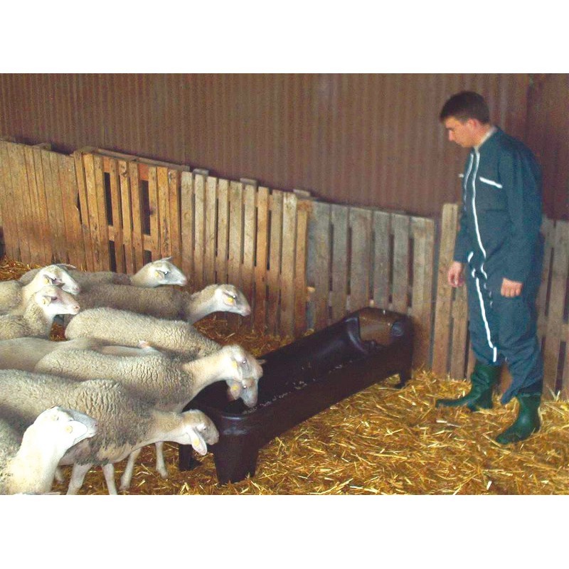 découvrez les avantages d'un abreuvoir à niveau constant pour chevaux, offrant une hydratation optimale et un entretien simplifié pour garantir leur bien-être.