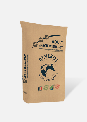 découvrez les avantages et inconvénients des aliments sans céréales pour chevaux, pour une alimentation adaptée et équilibrée.