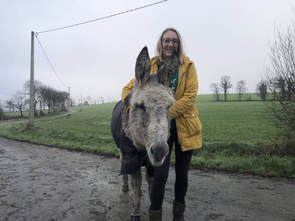 découvrez le refuge de bléré dédié aux chevaux maltraités, un lieu de soins, de protection et de récupération pour offrir une nouvelle vie à ces animaux vulnérables.