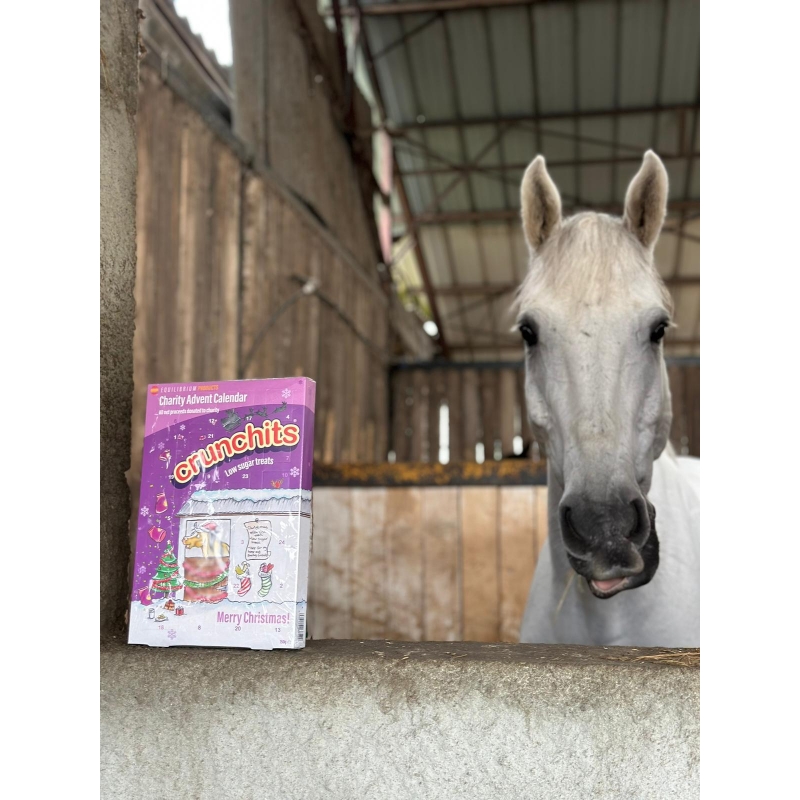 découvrez notre calendrier de l’avent chevaux, idéal pour les amateurs d’équitation et les passionnés de chevaux, avec des surprises équestres chaque jour jusqu’à noël.