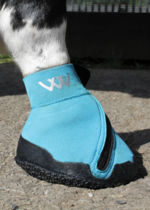 découvrez l'utilité des chaussons pour chevaux, conçus pour protéger et améliorer le confort des sabots lors de déplacements sur divers terrains.