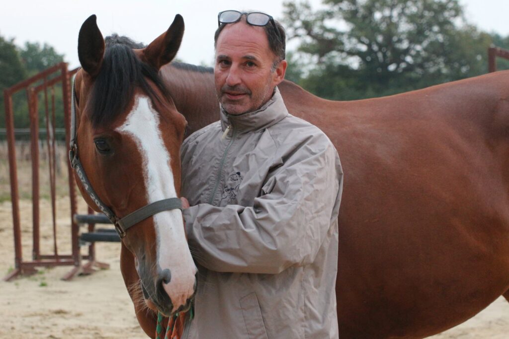 informations importantes et avertissements essentiels pour les propriétaires concernant la gestion et les précautions à prendre en cas de cheval mort.