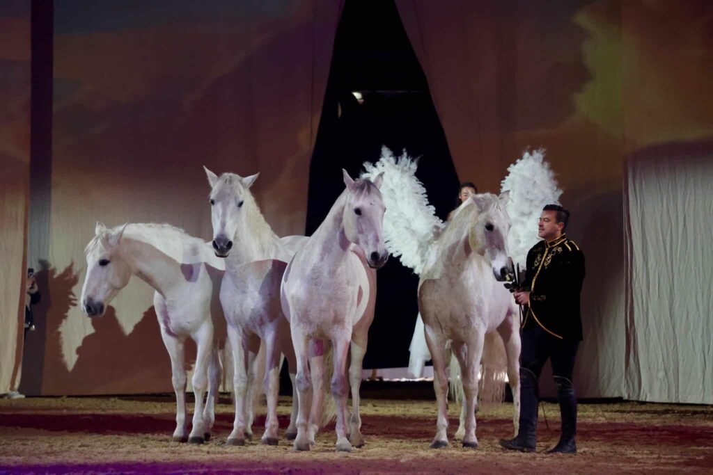 découvrez la célébration des 40 ans de cheval passion, un événement incontournable dédié aux passionnés de chevaux, cette année sans spectacle bovin.