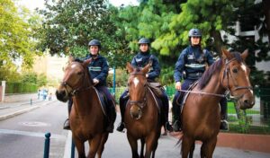 découvrez l'intervention rapide et efficace des agents municipaux face à la fuite de chevaux en cavale, assurant sécurité et tranquillité pour tous.