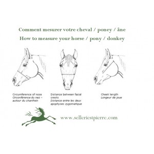 découvrez comment choisir le filet adapté à votre cheval de trait pour garantir confort et efficacité lors de vos séances d'entraînement et de travail.