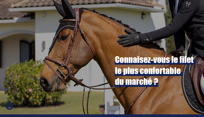 découvrez comment choisir le filet idéal pour votre cheval de trait, alliant confort, sécurité et efficacité pour un entraînement optimal.