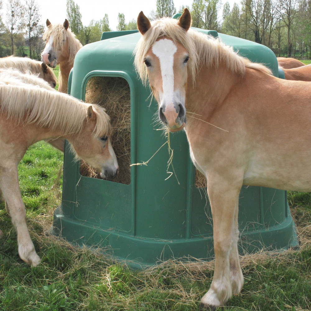 découvrez comment choisir la mangeoire à foin idéale pour vos chevaux, alliant praticité, sécurité et confort alimentaire.