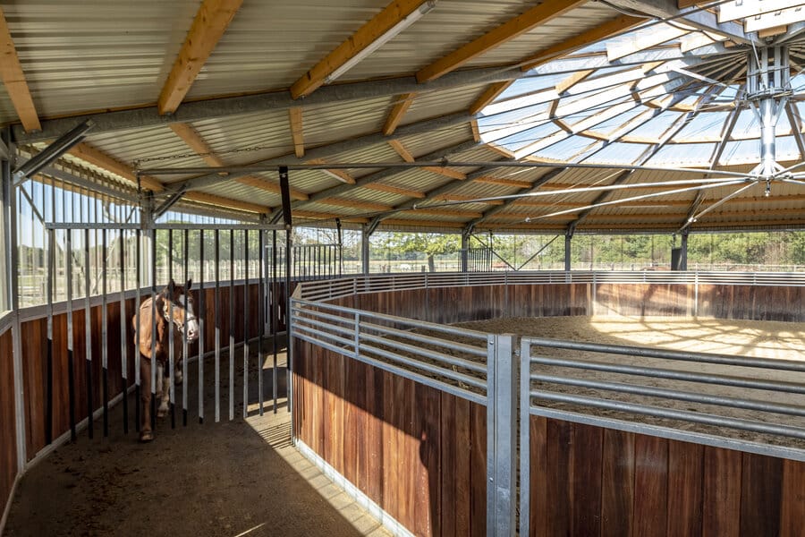 découvrez comment choisir un marcheur pour chevaux d'occasion adapté à vos besoins. guide pratique pour trouver un équipement fiable et économique.