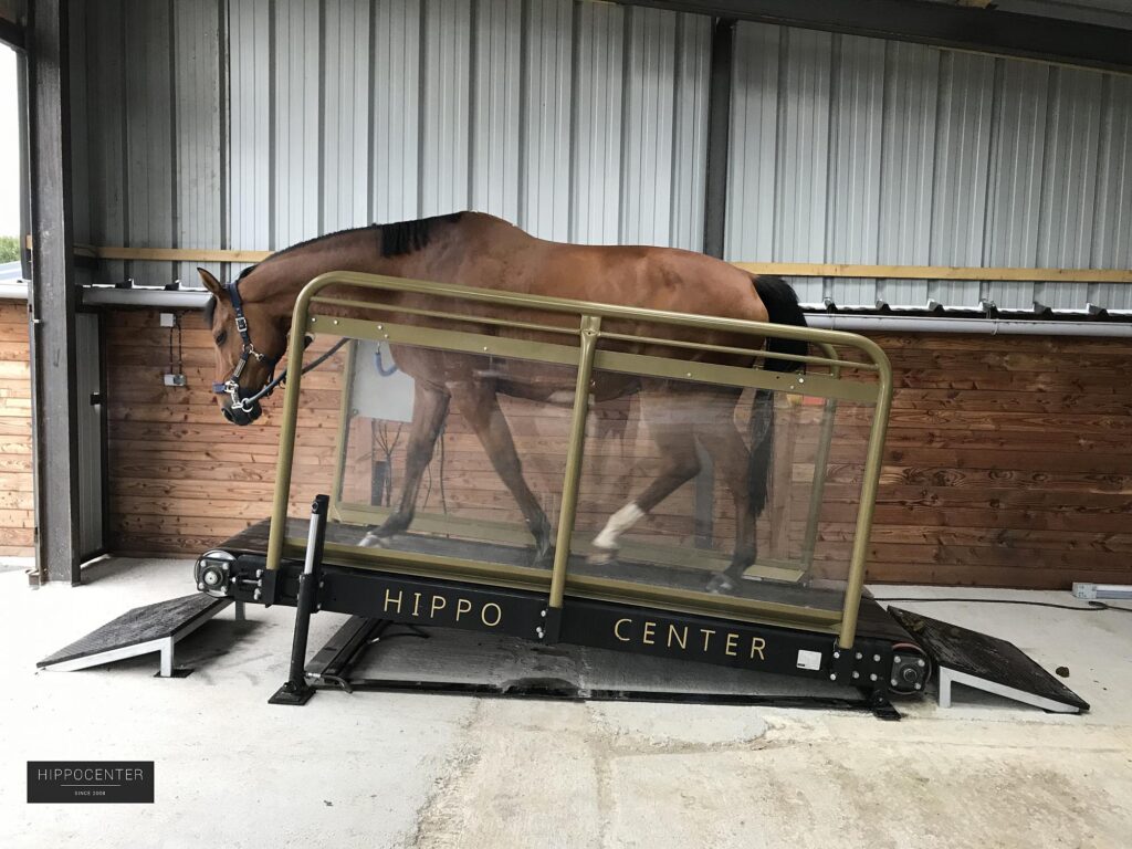 découvrez comment bien choisir un marcheur pour chevaux d'occasion adapté à vos besoins et assurez un entraînement optimal de vos équidés.