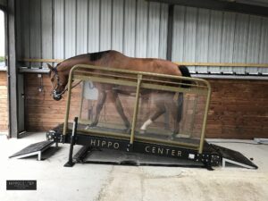 découvrez comment bien choisir un marcheur pour chevaux d'occasion adapté à vos besoins et assurez un entraînement optimal de vos équidés.