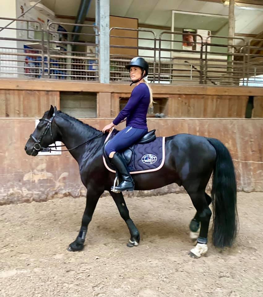 découvrez nos conseils essentiels pour bien gérer un contrat de demi-pension pour cheval, afin d’assurer une relation claire et sereine entre propriétaire et cavalier.