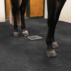 découvrez nos dalles stabilisatrices pour chevaux, alliant confort et sécurité. offrez à votre cheval un sol stable et durable pour des déplacements en toute confiance.