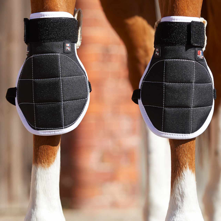 découvrez les avantages et l'utilisation des guêtres magnétiques pour chevaux, une solution innovante pour le bien-être et la récupération de votre compagnon équin.