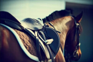 découvrez comment investir dans les courses de chevaux, optimiser vos gains et comprendre les meilleures stratégies pour parier intelligemment sur les compétitions hippiques.