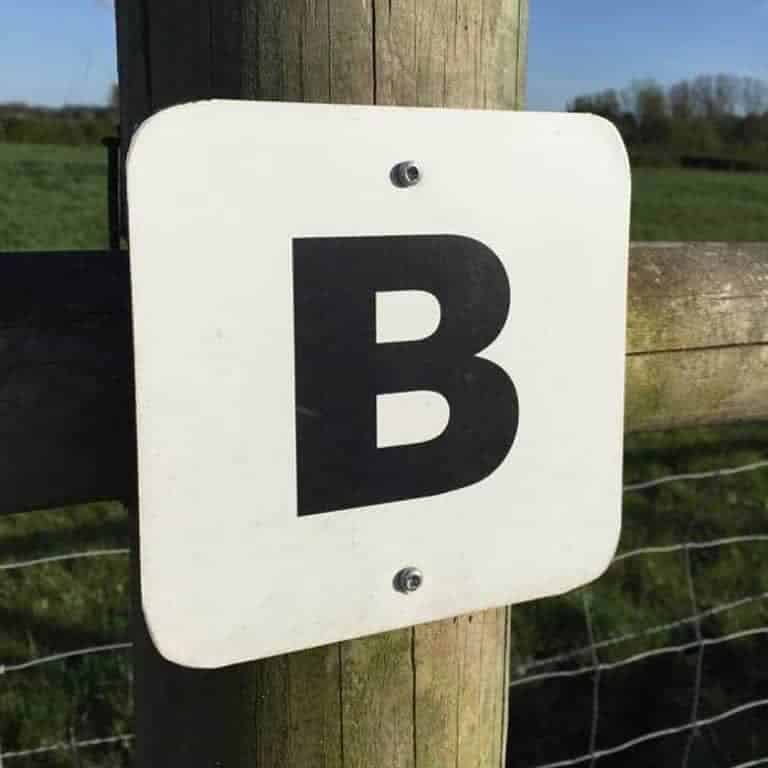 découvrez notre guide complet pour débutants sur la lettre au manège à cheval, avec conseils pratiques pour maîtriser cette discipline équestre en toute confiance.