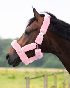 découvrez les avantages du licol rose pour cheval et comment choisir le modèle idéal pour allier confort, sécurité et style lors de vos balades équestres.