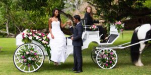 location de chevaux pour mariage : apportez une touche d'élégance et d'originalité à votre cérémonie avec nos chevaux disponibles pour votre grand jour.