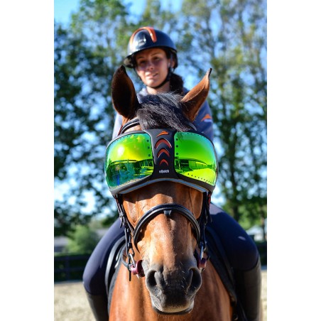 découvrez notre guide complet pour choisir les lunettes adaptées à vos chevaux, alliant confort et protection optimale.