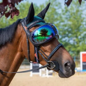 découvrez notre guide complet pour choisir les meilleures lunettes pour chevaux, alliant confort, protection et performance adaptées à vos besoins équestres.