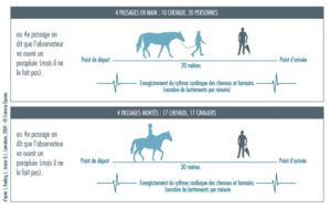explorez l'influence de la peur humaine sur le comportement des chevaux et découvrez comment mieux comprendre ces interactions pour une relation harmonieuse.