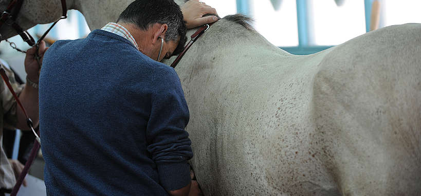 découvrez l'importance de la quarantaine pour prévenir la propagation des maladies virales mortelles chez les chevaux et protéger leur santé.