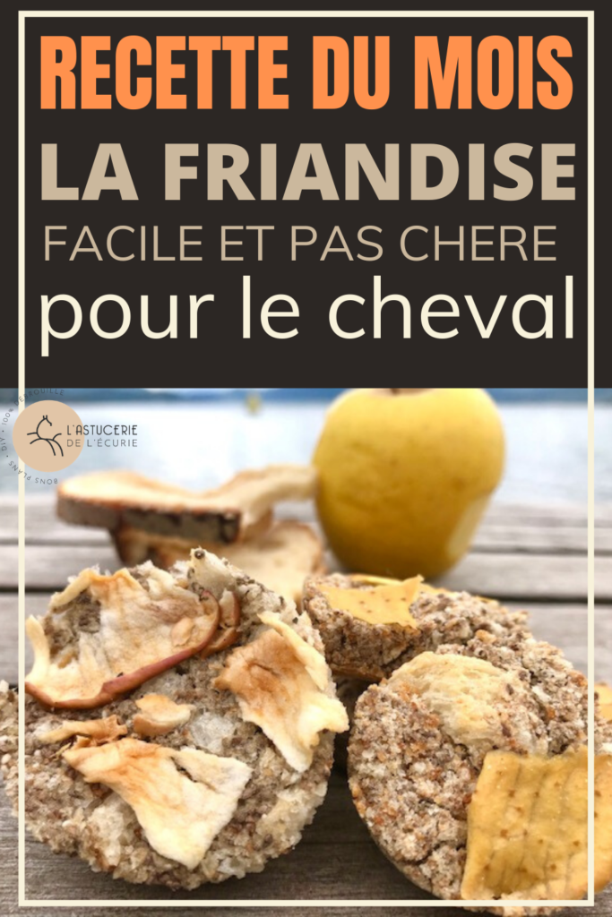 découvrez nos recettes simples et délicieuses de friandises maison pour chevaux, idéales pour récompenser et chouchouter votre compagnon à quatre sabots.