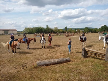 découvrez la renaissance du centre équestre de sarreguemines, un lieu vibrant d'activités et de passion pour les amateurs de cheval.