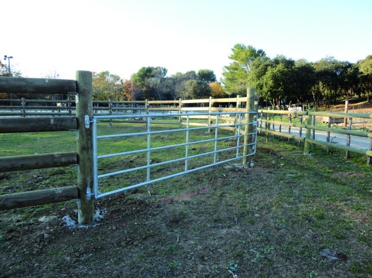 découvrez comment choisir la meilleure barrière galva pour chevaux, alliant sécurité, durabilité et facilité d'installation pour votre élevage.