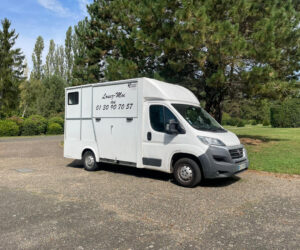 découvrez les avantages d'un camion chevaux 4 places : confort, sécurité et praticité pour transporter vos chevaux en toute sérénité.