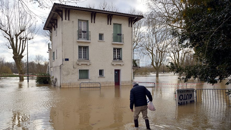 une catastrophe frappe : 80 arbres tombés, 16 chevaux ensevelis et des dégâts estimés à 15 000 €. découvrez les détails de cet événement dramatique.