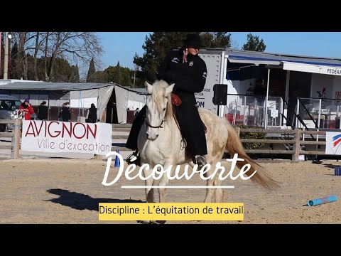 participez à la célébration équestre à granier, un événement unique réunissant passionnés de chevaux et animations traditionnelles dans un cadre convivial.