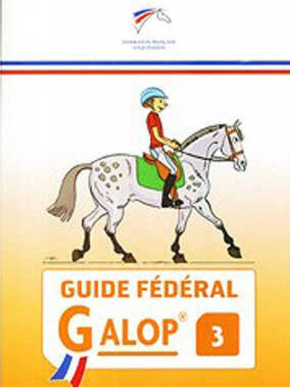 découvrez les techniques et conseils essentiels pour maîtriser le galop 2 à cheval, améliorer votre posture et votre contrôle en toute confiance.