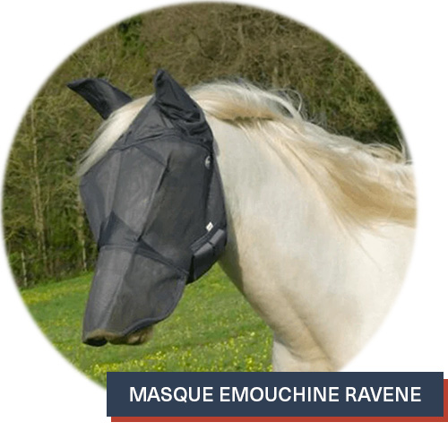 découvrez comment choisir l'anti-insecte idéal pour protéger efficacement vos chevaux des nuisibles et assurer leur bien-être au quotidien.