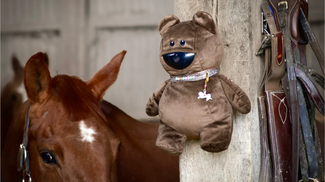 découvrez comment choisir la caméra idéale pour filmer vos chevaux, avec des conseils sur les fonctionnalités, la qualité d'image et la résistance aux conditions extérieures.