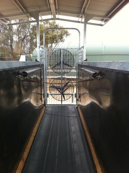 découvrez comment choisir le tapis roulant idéal pour votre cheval, en tenant compte de ses besoins, de la qualité et des caractéristiques essentielles pour assurer son confort et sa sécurité.