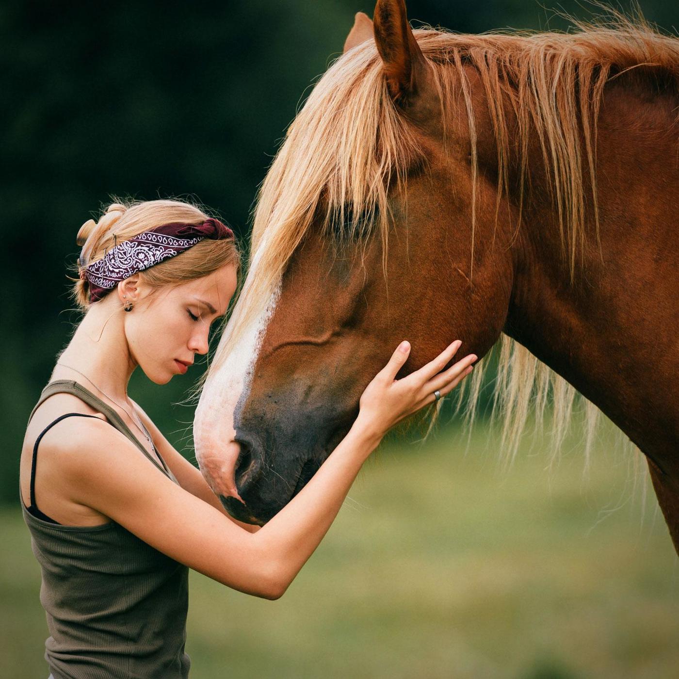 découvrez la communication animale avec les chevaux pour mieux comprendre leurs comportements et renforcer votre lien avec eux.
