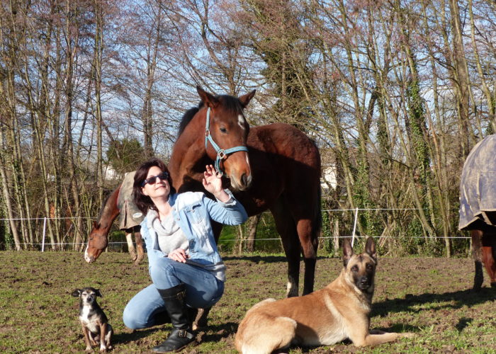 découvrez la communication animale avec les chevaux pour mieux comprendre leur langage et renforcer votre lien avec eux.