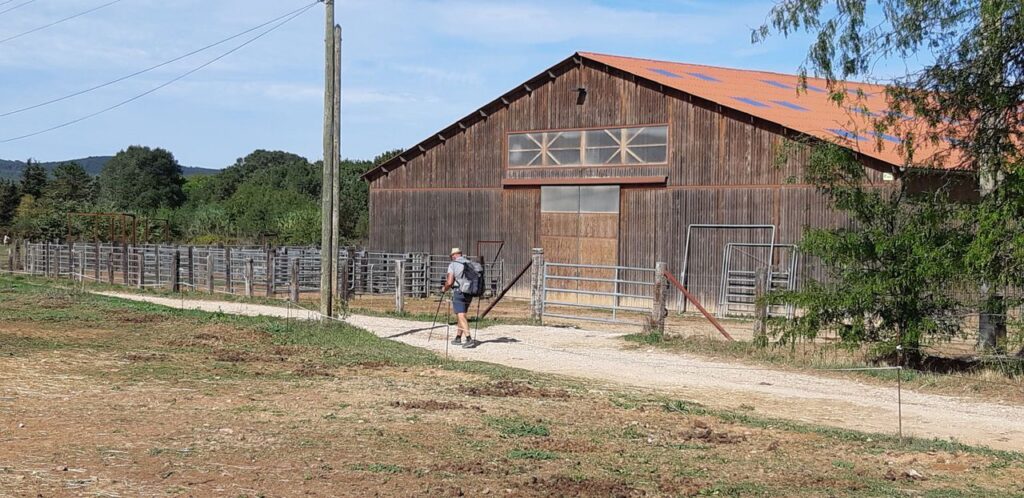 une femme tragiquement tuée dans une zone rurale après une attaque par des chevaux. découvrez les circonstances de ce drame et les mesures de sécurité en milieu rural.