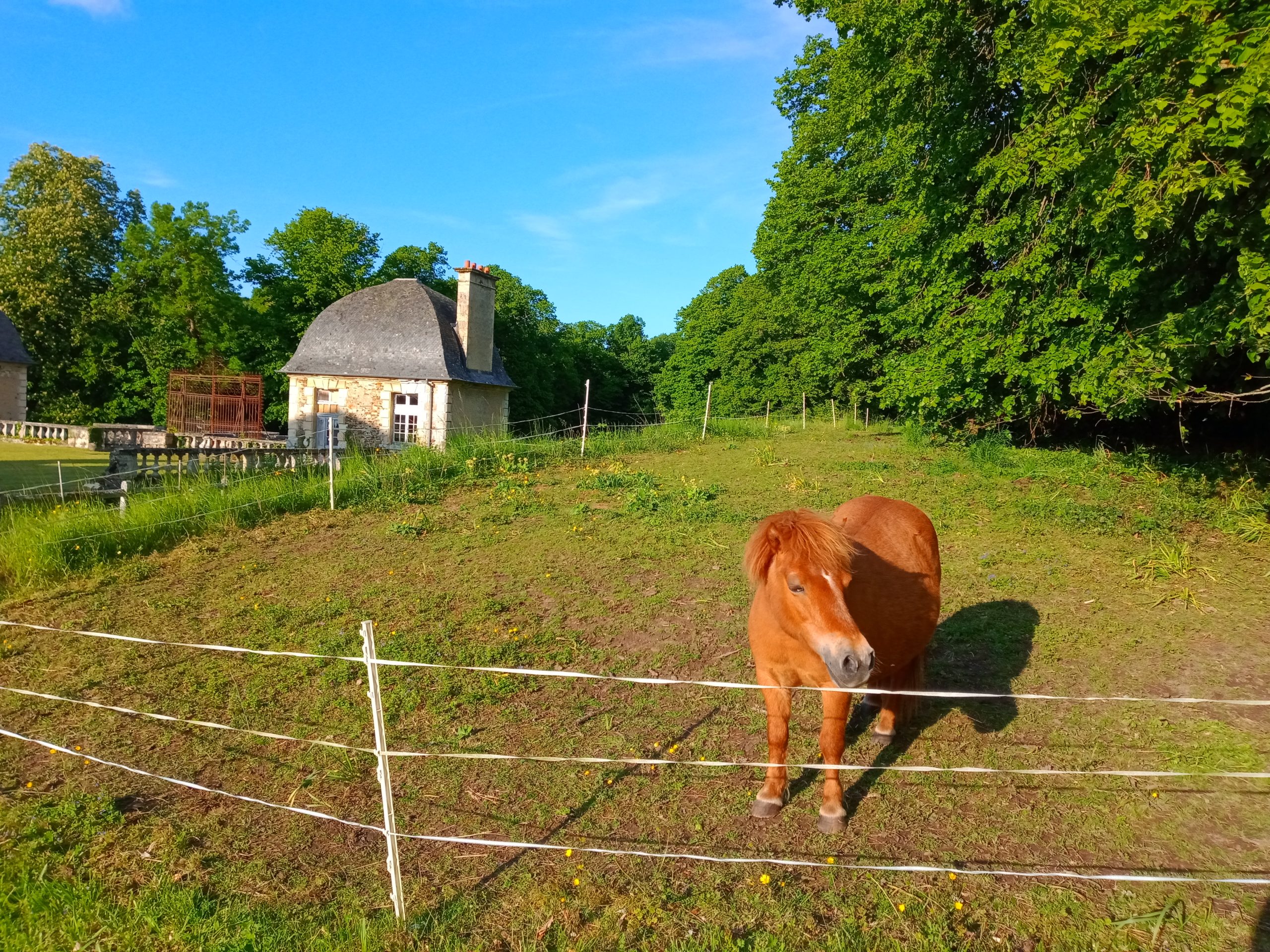 découvrez notre fil de clôture spécialement conçu pour sécuriser vos chevaux, durable et facile à installer.