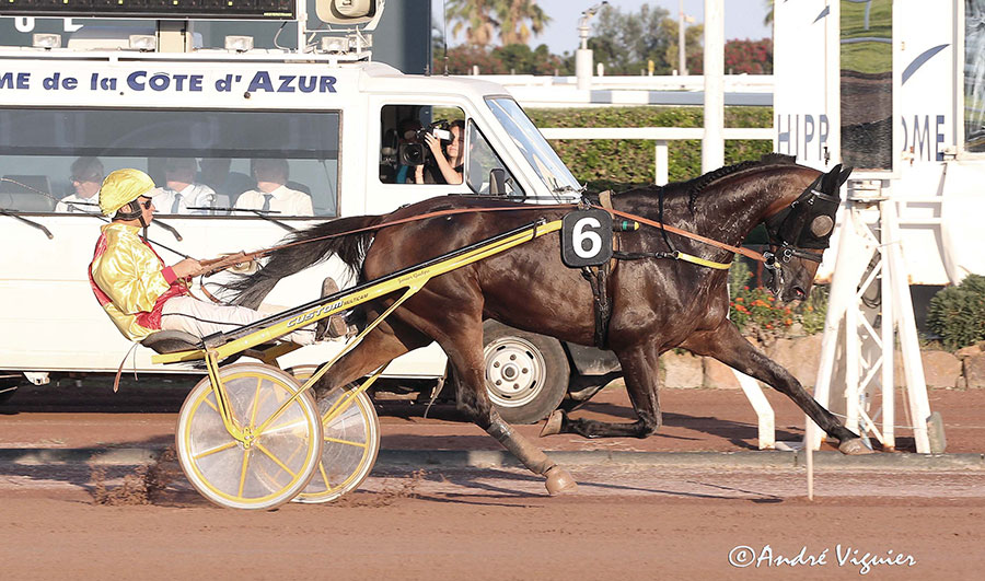 découvrez le guide complet de l’hippodrome de cagnes-sur-mer : informations pratiques, événements, courses hippiques et conseils pour profiter pleinement de cette destination incontournable.