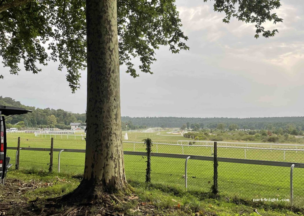 découvrez l'hippodrome de la solle à fontainebleau, un lieu emblématique pour les courses hippiques dans un cadre naturel exceptionnel. profitez d'événements sportifs et d'une ambiance conviviale.