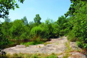 découvrez l'hippodrome de la solle à fontainebleau, un lieu incontournable pour les amateurs de courses hippiques et de loisirs en pleine nature.